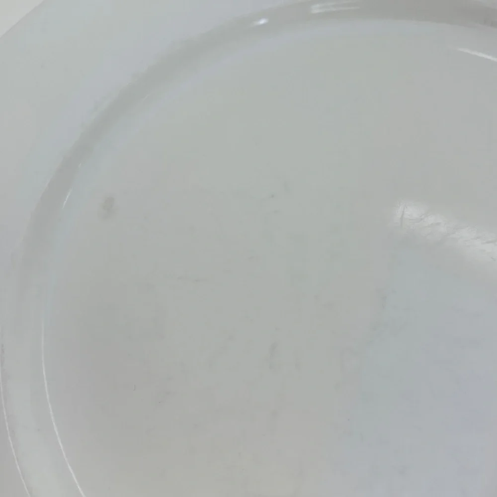 Williams Sonoma Everyday Dinnerware Dinner Plate White 9 3/4” - Set of 2